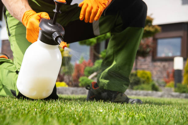 Best Commercial Pest Control Services  in Petal, MS